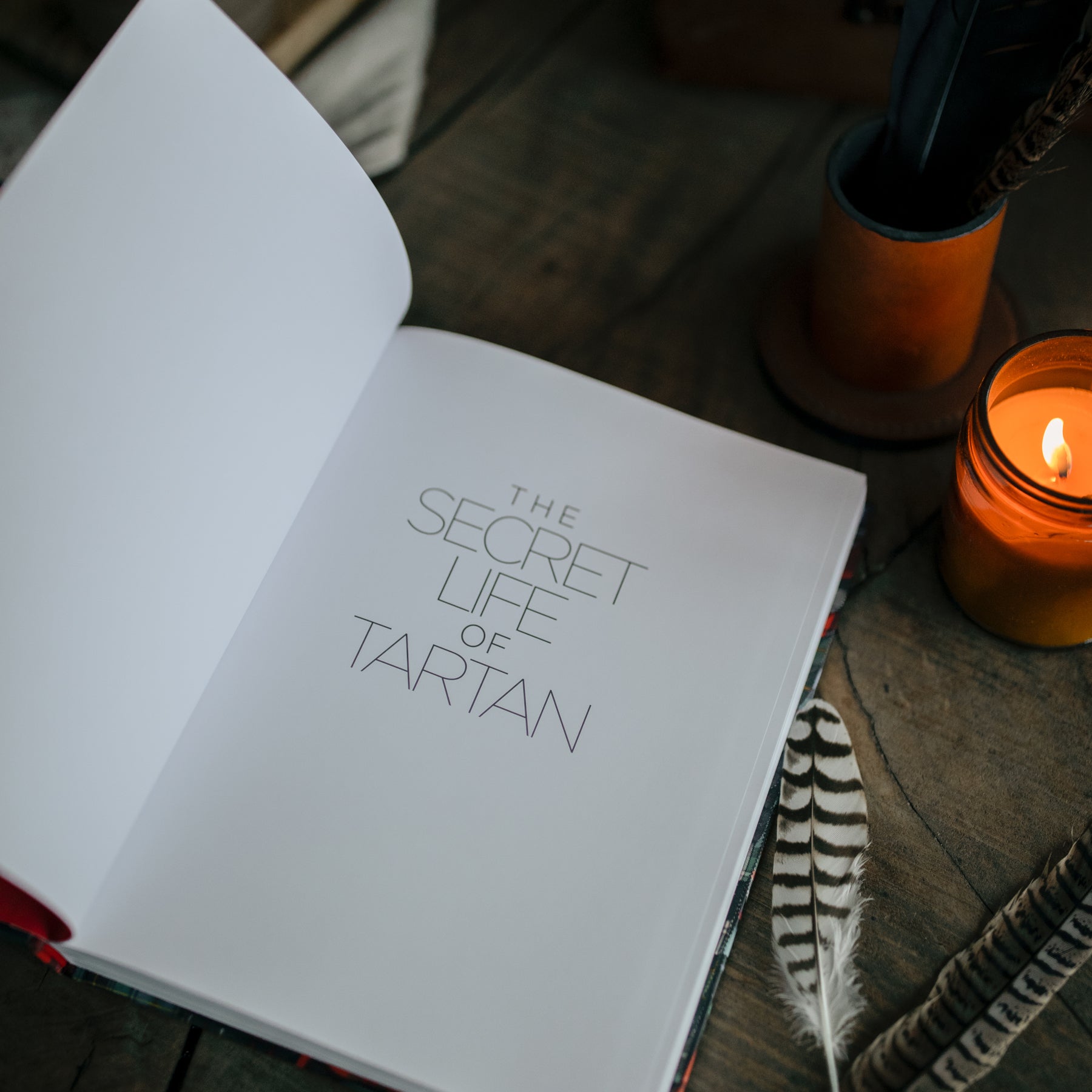 "The Secret Life of Tartan" Book by Vixy Rae